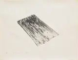Roni Horn, Untitled