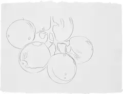 Grapes by Andy Warhol, 1979, graphite on paper, offered Oct 2024