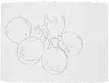 Andy Warhol, Grapes, 1979, graphite on paper