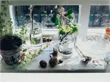 Wolfgang Tillmans, Bourne Estate