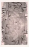 Christopher Wool, Three Women (Dark I), from Door Cycle, 2006, Screenprint in colours, on Saunders Watercolour paper, with full margins