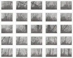 Christiane Baumgartner, 1 Sekunde (1 Second), 2004, The complete set of 25 woodcuts, on Kozo paper, with full margins, the sheets loose (as issued), with title page and colophon, all contained in the original grey linen-covered clamshell portfolio box