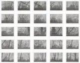 Christiane Baumgartner, 1 Sekunde (1 Second), 2004, The complete set of 25 woodcuts, on Kozo paper, with full margins, the sheets loose (as issued), with title page and colophon, all contained in the original grey linen-covered clamshell portfolio box