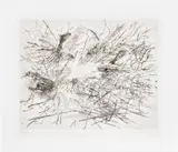 Julie Mehretu, Untitled (Pulse)