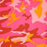 Camouflage (F. & S. 408) by Andy Warhol, 1987, Screenprint in colours, on Lenox Museum Board, the full sheet, sold Jun 2024