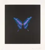 The Souls on Jacob's Ladder Take Their Flight (Unique) by Damien Hirst, 2008-09, Unique etching and aquatint in colours, on Arches paper, with full margins, sold Jun 2024