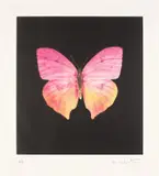 The Souls on Jacob's Ladder Take Their Flight (Unique) by Damien Hirst, 2007-2016, Unique etching in colours, on Velin Arches paper, with full margins, sold Jun 2024