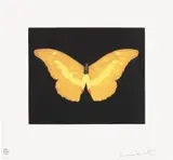 To Lure by Damien Hirst, 2008, Etching in colours, on wove paper, with full margins, sold Jun 2024