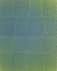 Tauba Auerbach, Untitled (Fold), 2009, screenprint on paper