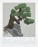 Jonas Wood, Bonsai, 2022, Screenprint in colours, on Rising Museum Board, with full margins
