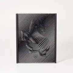 Zebra by Victor Vasarely, circa 1980, Screenprint in black on two Plexiglas panels adjoined with black fabric, sold Sep 2024