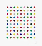 Lanatoside B by Damien Hirst, 2011, Screenprint in colours, on Somerset Satin paper, with full margins, sold Sep 2024
