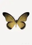 Damien Hirst, The Souls IV – Oriental Gold/Raven Black