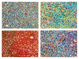 Veils (H4: 5-8) by Damien Hirst, 2020, The complete series of four giclée prints in colours, flush-mounted to aluminium with metal strainer on the reverse (as , sold Oct 2024