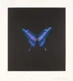 The Souls on Jacob's Ladder Take Their Flight (Unique) by Damien Hirst, 2008-09, Unique etching and aquatint in colours, on Arches paper, with full margins, offered Oct 2024