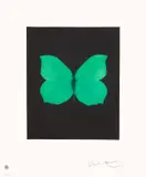 Damien Hirst, Tribulation, from Butterfly Etchings, 2009, Etching and aquatint in colours, on wove paper, with full margins