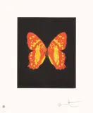 Emerge, from Butterfly Etchings by Damien Hirst, 2009, Etching and aquatint in colours, on wove paper, with full margins, sold Oct 2024