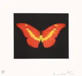 Damien Hirst, To Love, 2008, Etching and aquatint in colours, on wove paper, with full margins
