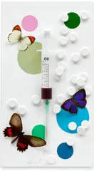 Fun by Damien Hirst, 2008, Unique collage comprising syringe, needle, synthetic resin, butterflies, paracetamol pills and household gloss paint on , sold Oct 2024