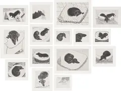 David Hockney, Dog Wall, 1998, The complete set of 15 etchings, on Somerset paper, with full margins