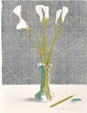 David Hockney, Lillies, from Europäische Graphik Mappe VII (European Prints Portfolio VII) (S.A.C. 118), 1971, Lithograph in colours, on Arches wove paper, the full sheet