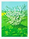 David Hockney, The Arrival of Spring in Woldgate, East Yorkshire in 2011 (twenty eleven) - 30 April, 2011, iPad drawing in colours, printed on wove paper, with full margins