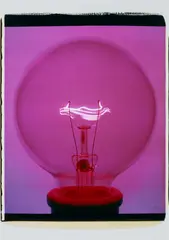 Amanda Means, Light Bulb 14405, 2007, Unique colour Polaroid print, mounted