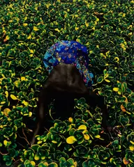 Symbols of Womanhood by Prince Gyasi, 2018, Chromogenic print, sold May 2024