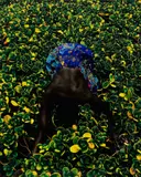 Prince Gyasi, Symbols of Womanhood, 2018, Chromogenic print