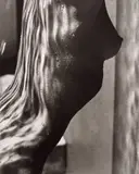 Herb Ritts, Female Torso Detail, Hollywood, 1989, Gelatin silver print
