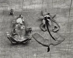 Frederick Sommer, Frog and Flower, 1947-1948, Gelatin silver print, mounted