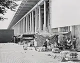 David Goldblatt, SL S BLANKES, EUROPEANS ONL, Bus Stop, Derby Road, Lorentzville, Johannesburg