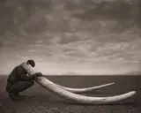 Nick Brandt, Ranger With Tusks of Killed Elephant