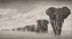 Elephants Walking Through Grass, Amboseli by Nick Brandt, 2008, Platinum print, printed later, sold May 2024