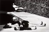 Helmut Newton, Nastassja Kinski and James Tobak, Hollywood, 1986, Gelatin silver print