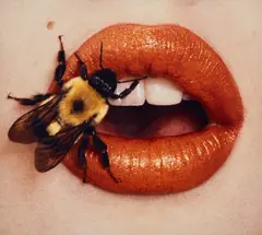 Irving Penn, Bee (A), New York, September, 1995, Chromogenic print, printed 2001, mounted