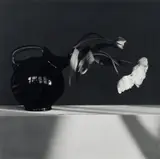 Robert Mapplethorpe, Tulip, 1982, Gelatin silver print, mounted