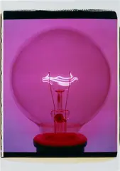 Amanda Means, Light Bulb (#14405), 2007, Unique colour Polaroid print, mounted
