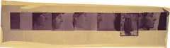 Profiles of Possible Modern Caryatids (study for Blueprint for a Temple) by Francesca Woodman, 1980, Diazotype, offered Nov 2024