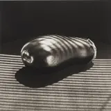 Robert Mapplethorpe, Eggplant, 1985, Platinum-palladium print