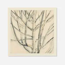 Sylvia Plimack Mangold, Maple Tree, 1994, etching with drypoint and aquatint
