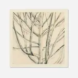 Sylvia Plimack Mangold, Maple Tree
