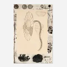 Terry Winters, Marginalia, 1988, lithograph in colors