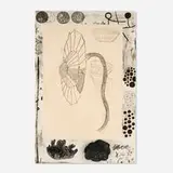 Terry Winters, Marginalia, 1988, lithograph in colors