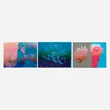 Andy Warhol, Kiku, 1983, screenprint in colors on BFK Rives