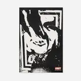 Shepard Fairey, Ripped