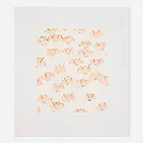 Donald Sultan, Wallflower 20 (from the Wallflowers portfolio), 2008, screenprint in colors