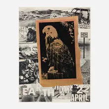 Robert Rauschenberg, Earth Day, 1970, offset lithograph in colors