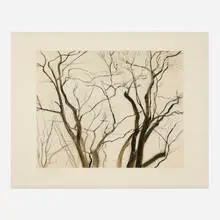 Sylvia Plimack Mangold, The Locust Trees, 1988, drypoint and aquatint on wove