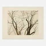 Sylvia Plimack Mangold, The Locust Trees